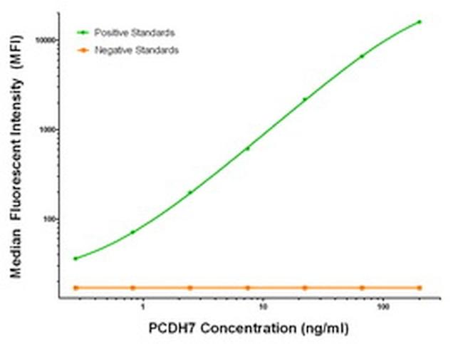 PCDH7 Antibody in Luminex (Luminex)