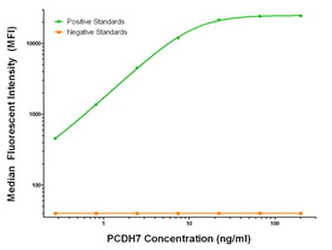 PCDH7 Antibody in Luminex (Luminex)