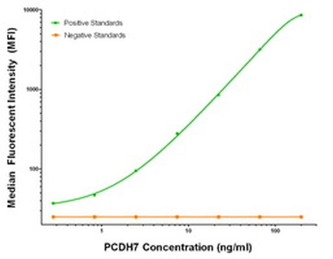 PCDH7 Antibody in Luminex (Luminex)