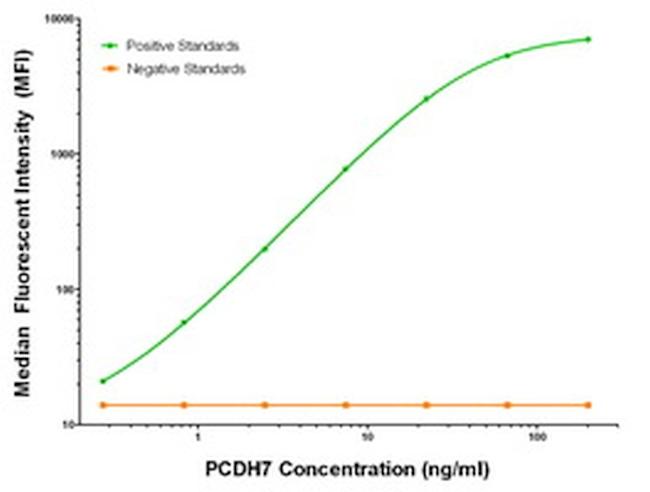 PCDH7 Antibody in Luminex (Luminex)