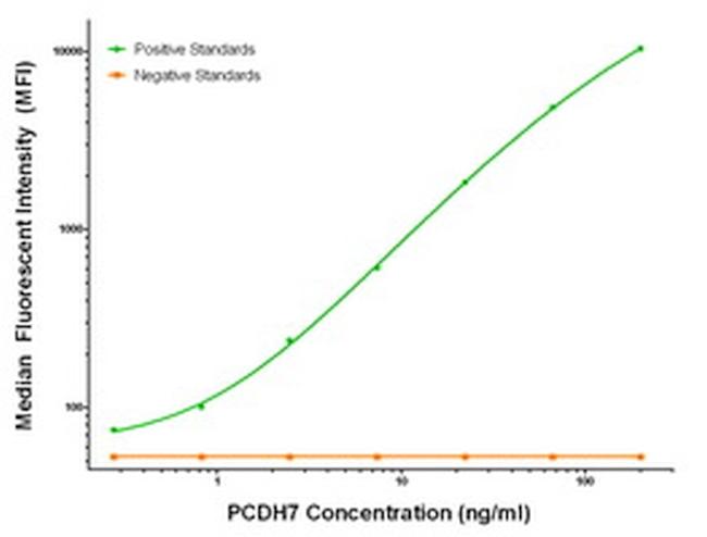 PCDH7 Antibody in Luminex (LUM)