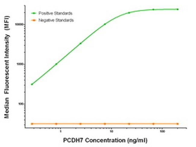 PCDH7 Antibody in Luminex (Luminex)