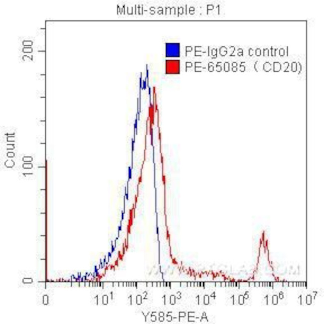 CD20 Antibody in Flow Cytometry (Flow)