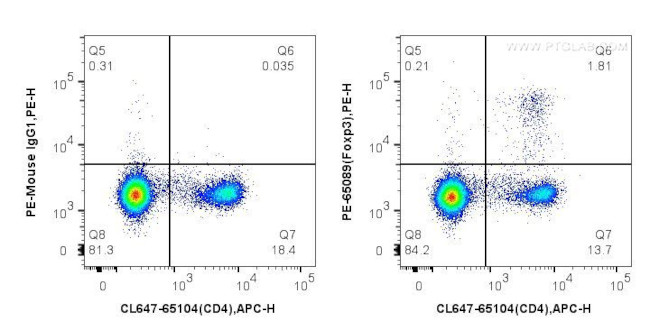 Foxp3 Antibody in Flow Cytometry (Flow)