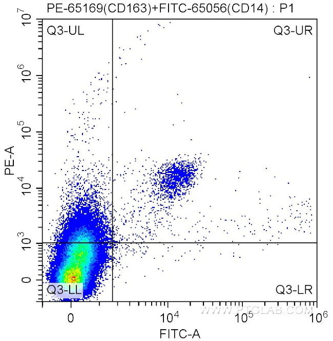 CD163 Antibody in Flow Cytometry (Flow)