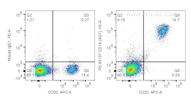 CD19 Antibody in Flow Cytometry (Flow)