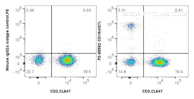 CD19 Antibody in Flow Cytometry (Flow)