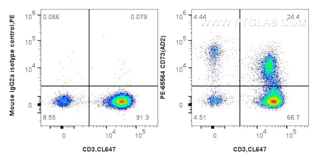 CD73 Antibody in Flow Cytometry (Flow)