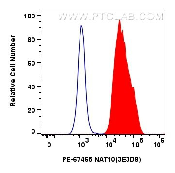NAT10 Antibody in Flow Cytometry (Flow)