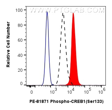 Phospho-CREB1 (Ser133) Antibody in Flow Cytometry (Flow)