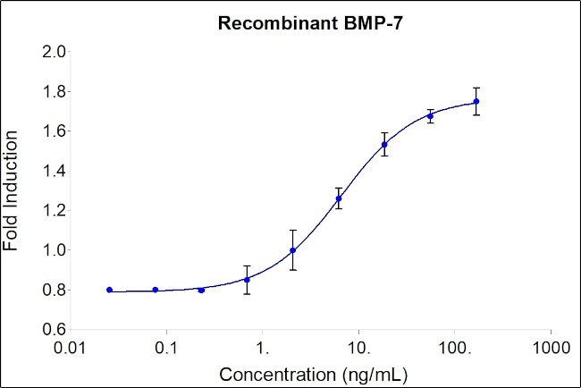 Human BMP-7 Protein in Bioactivity (Bioactivity)