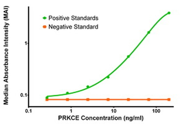 PRKCE Antibody in ELISA (ELISA)