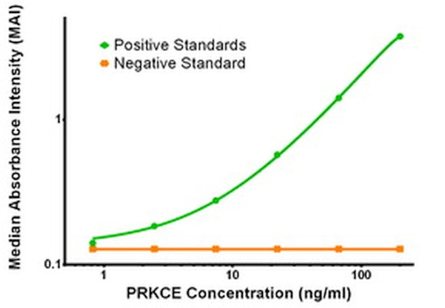 PRKCE Antibody in ELISA (ELISA)