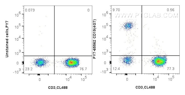 CD19 Antibody in Flow Cytometry (Flow)