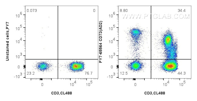 CD73 Antibody in Flow Cytometry (Flow)