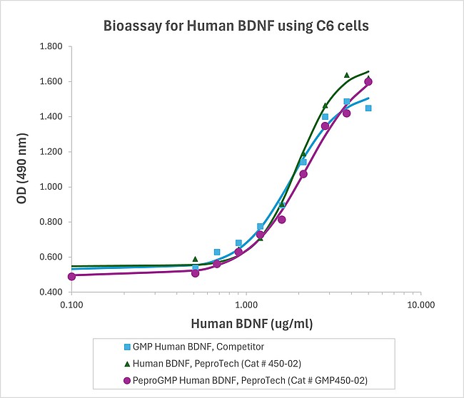 PeproGMP® Human BDNF Protein in Bioactivity (Bioactivity)