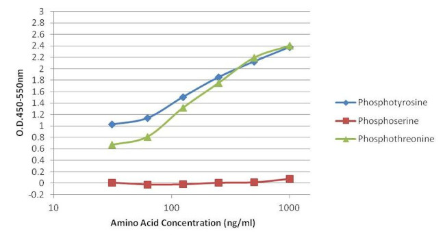 Phosphotyrosine Antibody in ELISA (ELISA)