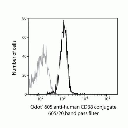 CD38 Antibody in Flow Cytometry (Flow)