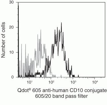CD10 Antibody in Flow Cytometry (Flow)