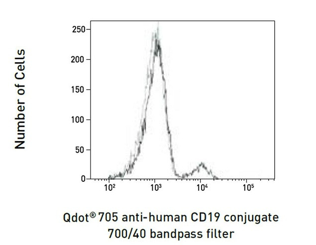 CD19 Antibody in Flow Cytometry (Flow)