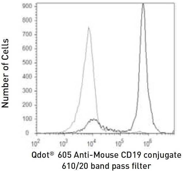 CD19 Antibody in Flow Cytometry (Flow)