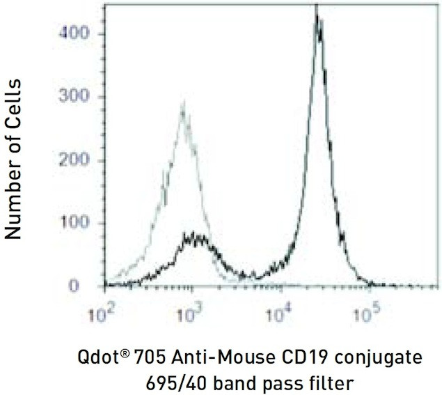 CD19 Antibody in Flow Cytometry (Flow)