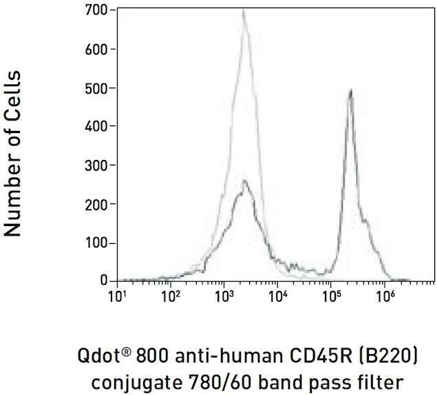 CD45R Antibody in Flow Cytometry (Flow)
