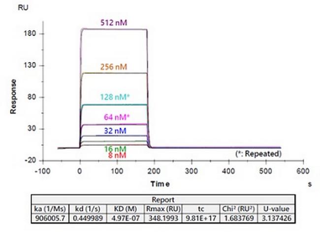 CD3 Antibody in Surface plasmon resonance (SPR)