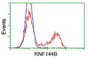 RNF144B Antibody in Flow Cytometry (Flow)