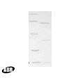 RecQ DNA Helicase Protein in Western blot control (WB Ctrl)