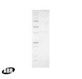 RuvB Protein in Western blot control (WB Ctrl)