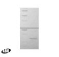 RuvC Protein in Western blot control (WB Ctrl)