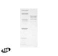HIV1 p55 Protein in Western blot control (WB Ctrl)