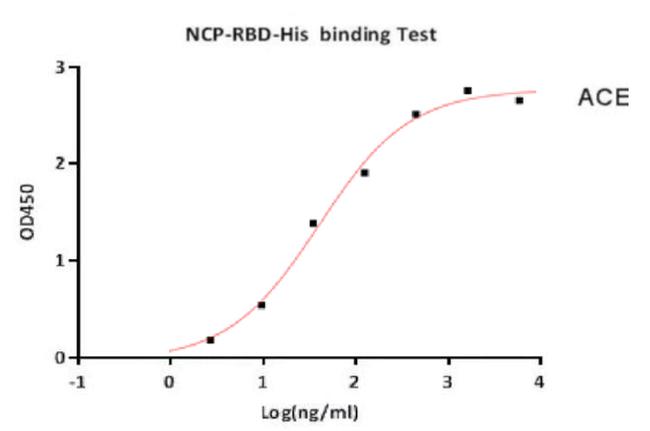 SARS-CoV-2 Spike Protein (RBD) (aa319-541), His Tag Protein in Bioactivity (Bioactivity)