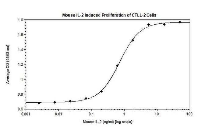 Mouse IL-2 Protein