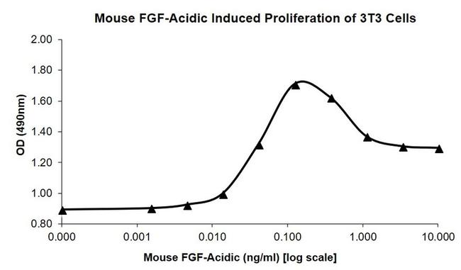 Mouse FGF1 Protein