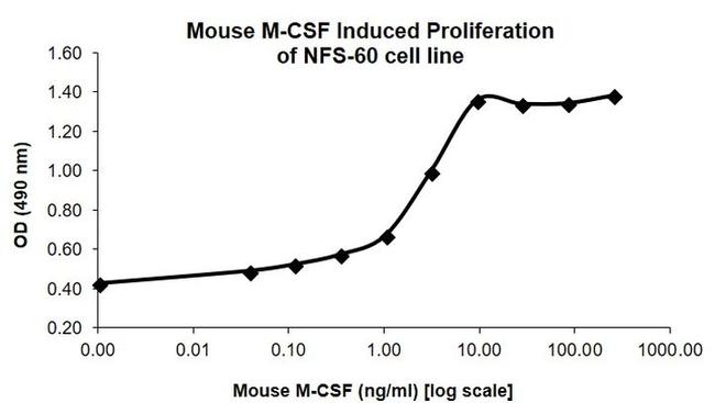 Mouse M-CSF Protein