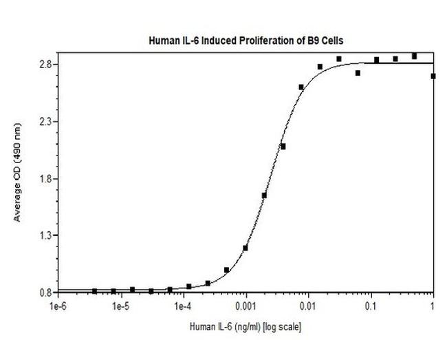 Human IL-6 Protein