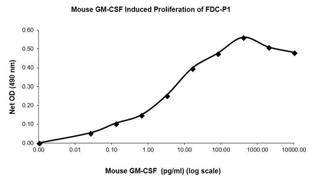 Mouse GM-CSF Protein