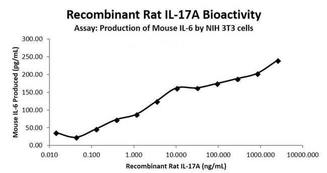 Rat IL-17A Protein