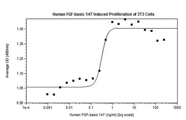 Human FGF-basic (FGF-2/bFGF) (147 aa) Protein