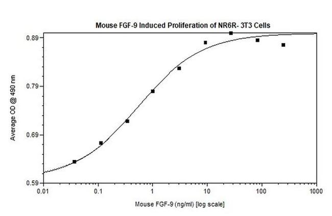 Mouse FGF-9 Protein
