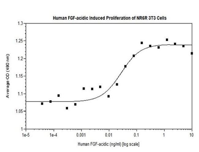 Human FGF1 Protein