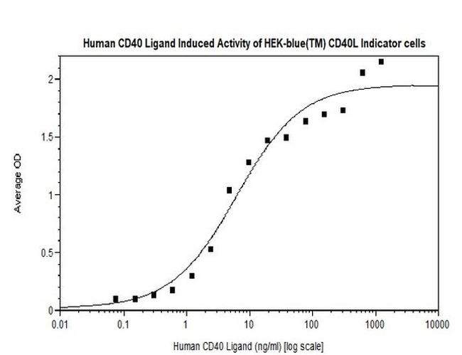Human CD40 Ligand (TNFSF5) Protein