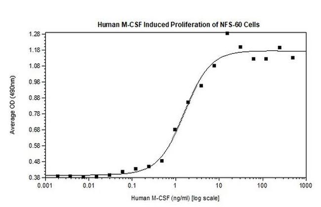 Human M-CSF Protein