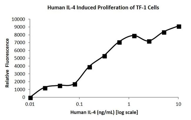 Human IL-4 Protein