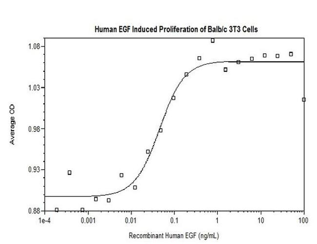 Human EGF Protein