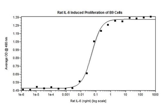 Rat IL-6 Protein