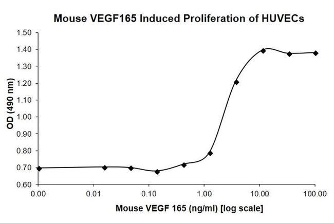 Mouse VEGF-165 Protein