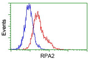 RPA2 Antibody in Flow Cytometry (Flow)
